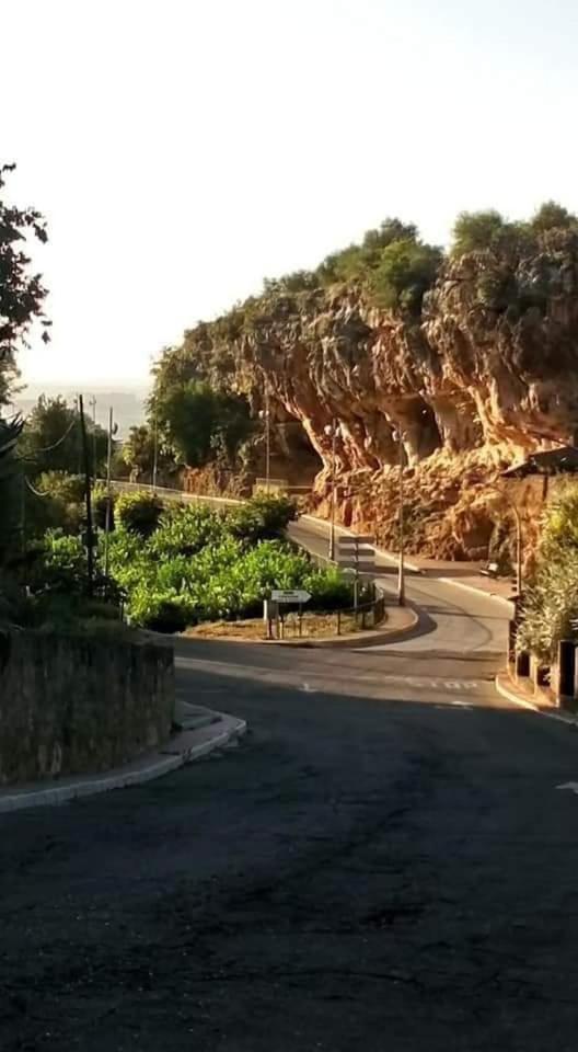 La Buganvilla, Descanso Entre Olivares Орначуэлос Экстерьер фото