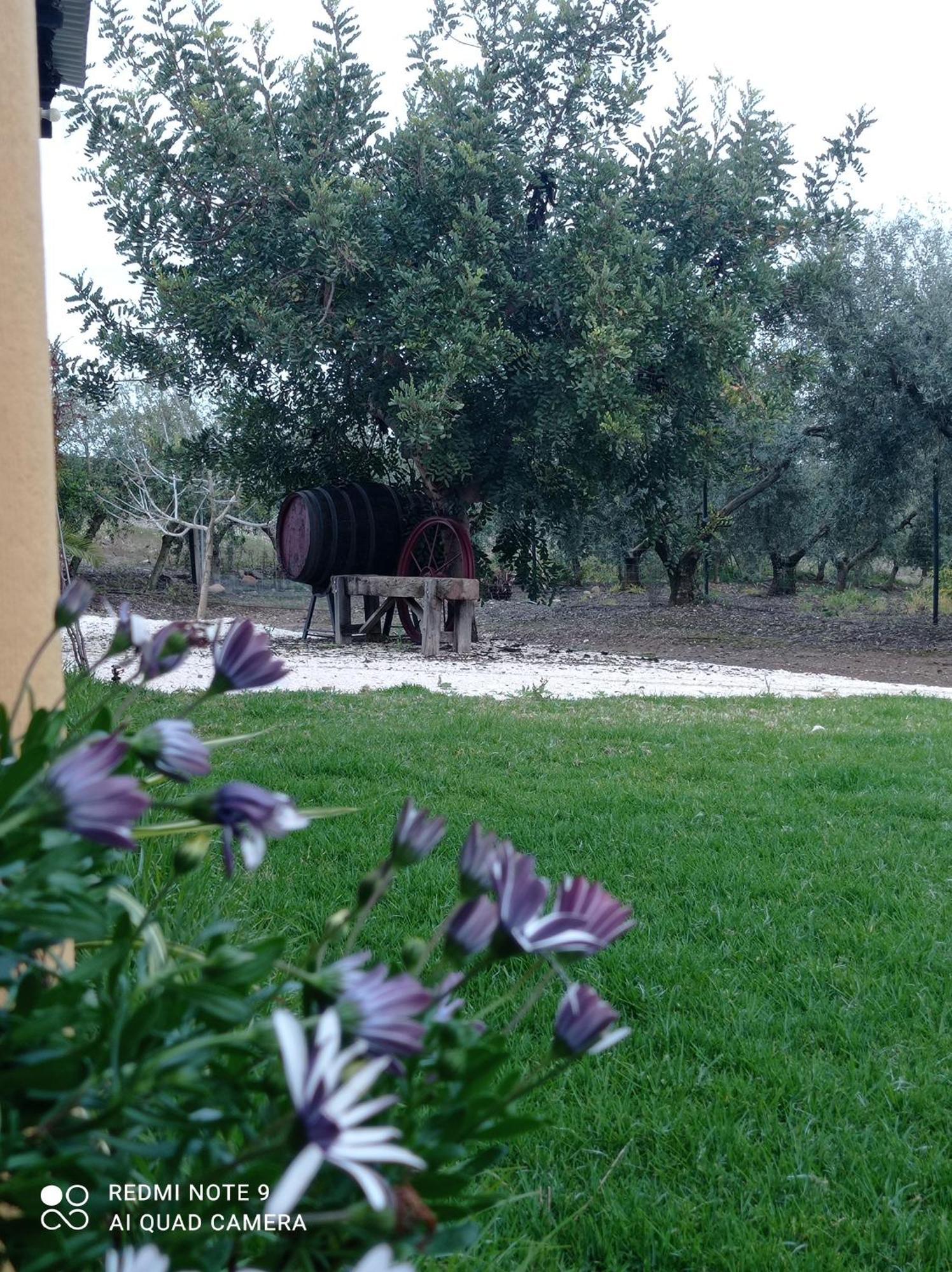 La Buganvilla, Descanso Entre Olivares Орначуэлос Экстерьер фото